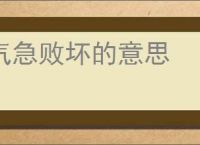 气急败坏的意思