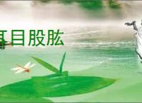 耳目股肱