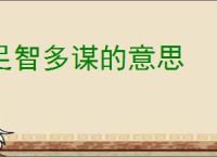 足智多谋的意思