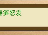 春笋怒发