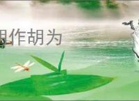 胡作胡为