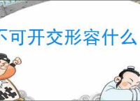 不可开交形容什么