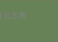 什伍东西
