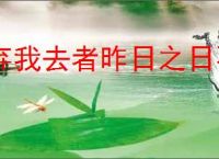 弃我去者昨日之日不可留