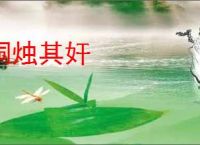 洞烛其奸