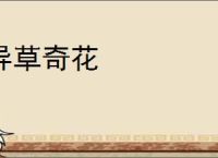 异草奇花