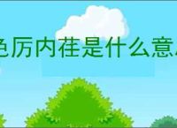 色厉内荏是什么意思