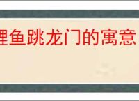 鲤鱼跳龙门的寓意