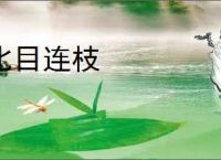 比目连枝