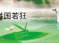 举国若狂