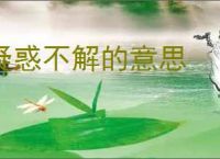 疑惑不解的意思