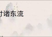 付诸东流