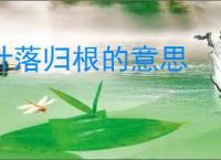 叶落归根的意思