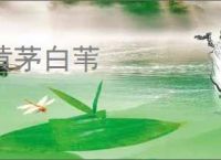 黄茅白苇