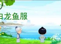 白龙鱼服
