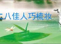 二八佳人巧梳妆