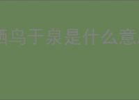 栖鸟于泉是什么意思