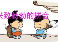 兴致勃勃的拼音