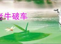 老牛破车