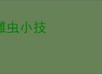 雕虫小技