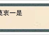 莫衷一是