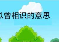 似曾相识的意思