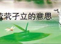 茕茕孑立的意思