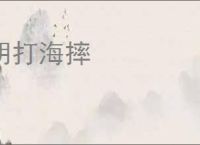 胡打海摔