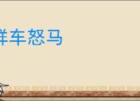 鲜车怒马