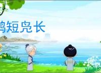 鹤短凫长
