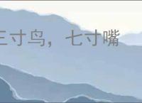 三寸鸟，七寸嘴