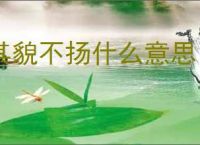 其貌不扬什么意思