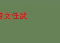 废文任武