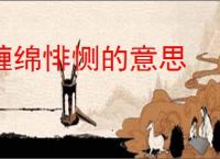 缠绵悱恻的意思