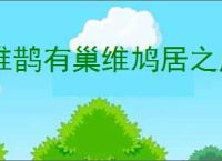 维鹊有巢维鸠居之成语