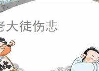 老大徒伤悲