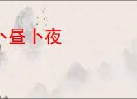 卜昼卜夜