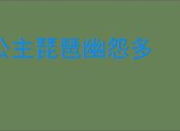 公主琵琶幽怨多