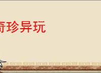 奇珍异玩