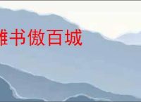 摊书傲百城