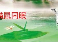 猫鼠同眠
