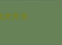 鸡犬升天