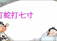 打蛇打七寸