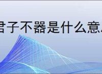 君子不器是什么意思飞身抱月