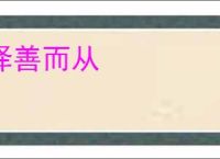 择善而从