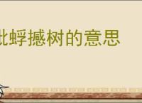 蚍蜉撼树的意思