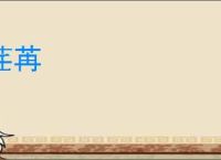 荏苒