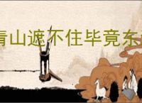 青山遮不住毕竟东流去