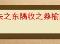 失之东隅收之桑榆的意思