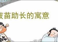 拔苗助长的寓意